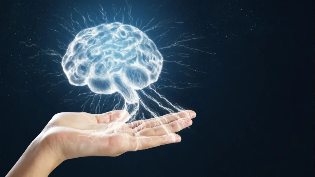 Boosts Brain Function