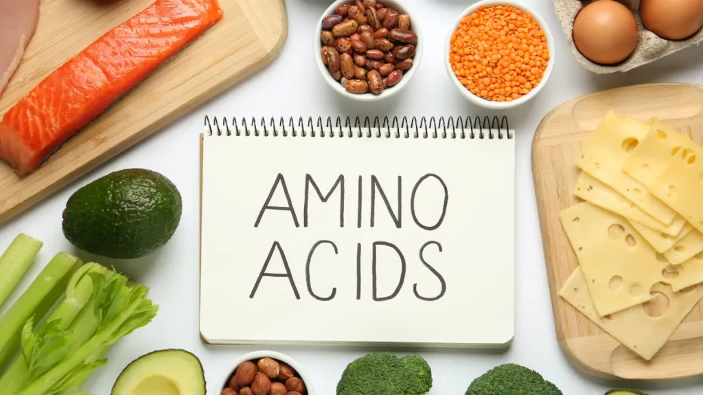 What Are Amino Acids and Why Do They Matter?