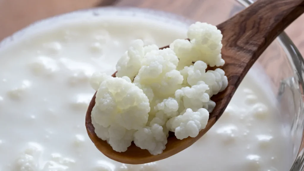 How to get enough Probiotics? - Kefir