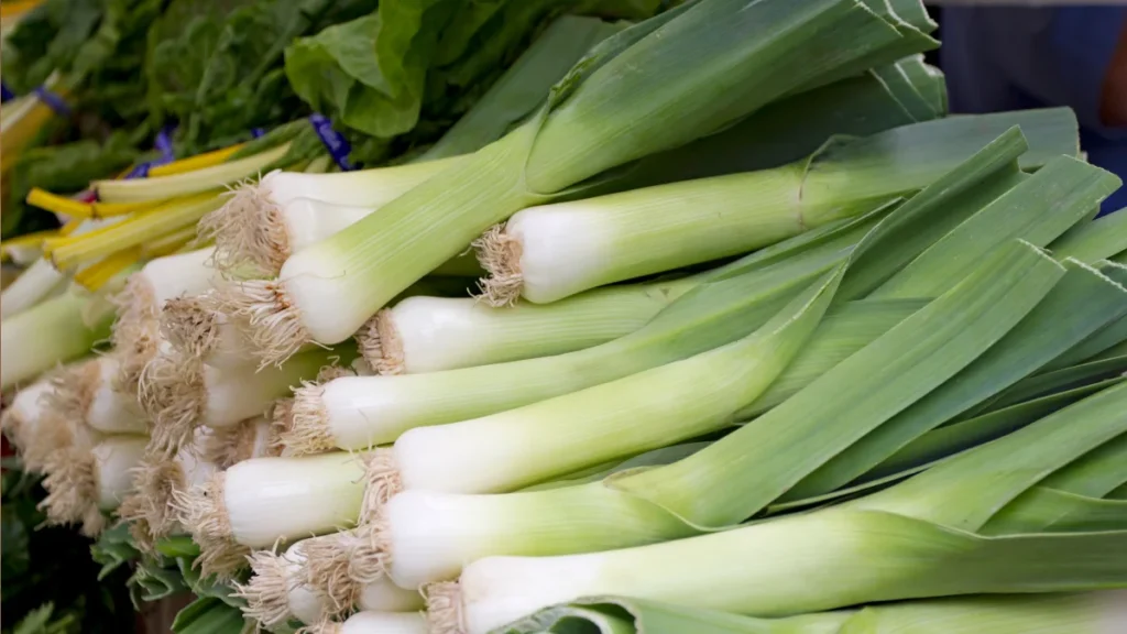How to get enough Probiotics? - Leeks