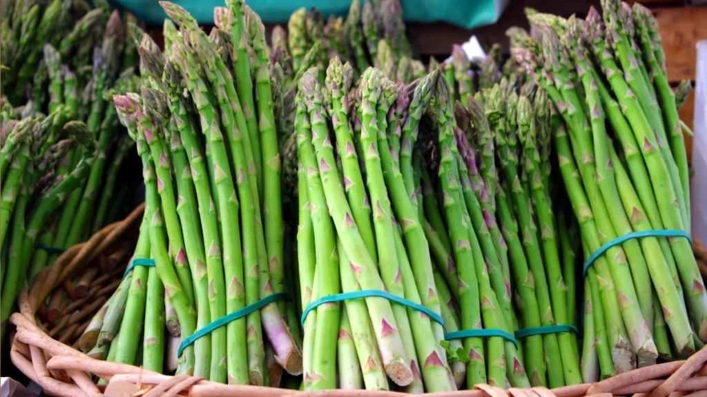 How to get enough Probiotics? - Asparagus