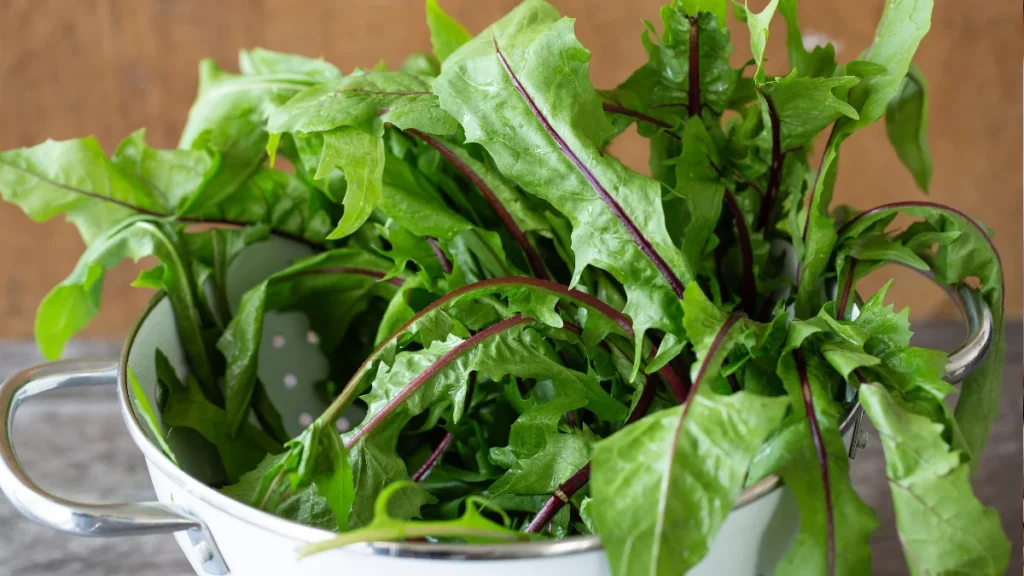 How to get enough Probiotics? - Dandelion Greens