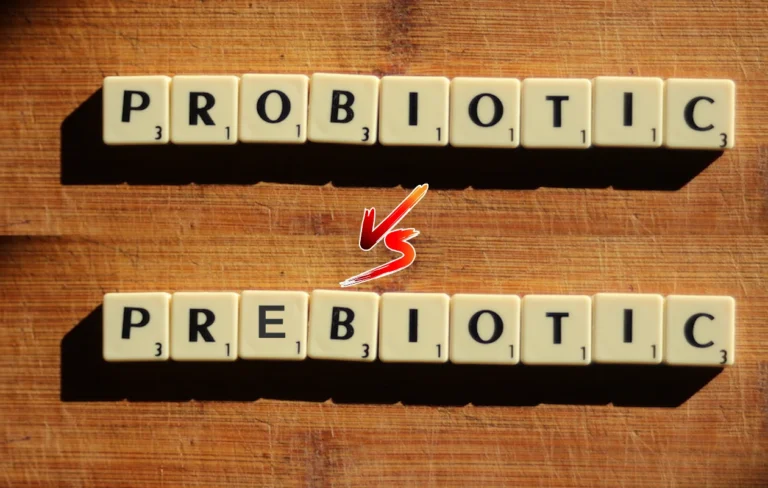 What are Probiotics and Prebiotics Benefits, Sources & Gut Health Explained