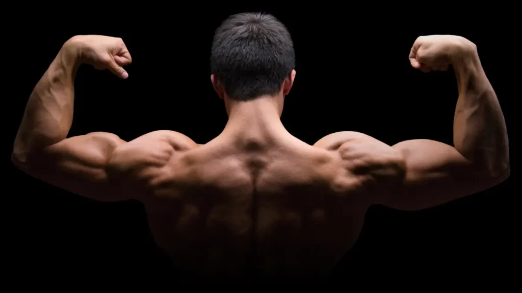Which One Builds Muscle Better?