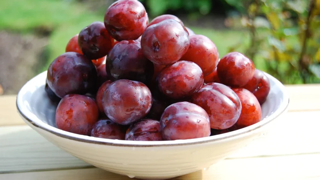 Indian Plums