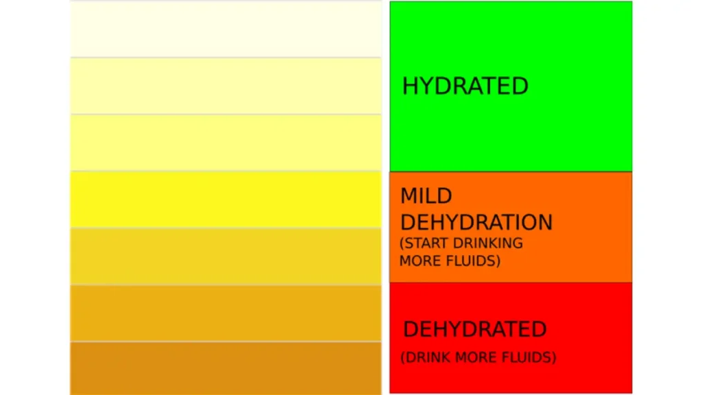 Signs You Might Be Dehydrated