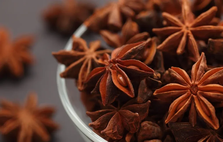 What is Star Anise? Health Benefits, Side Effects, How to Use?