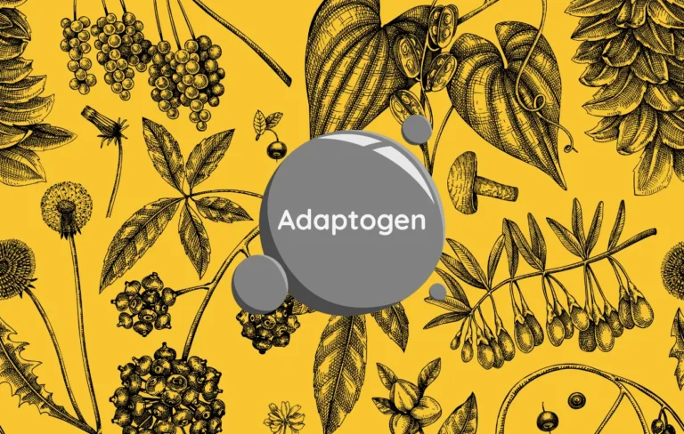 Adaptogens Medicinal Herbs Revered Around the World