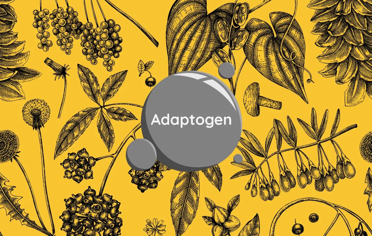 Adaptogens Medicinal Herbs Revered Around the World